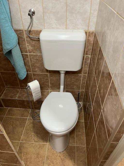 Lombkorona Appartement Pápa