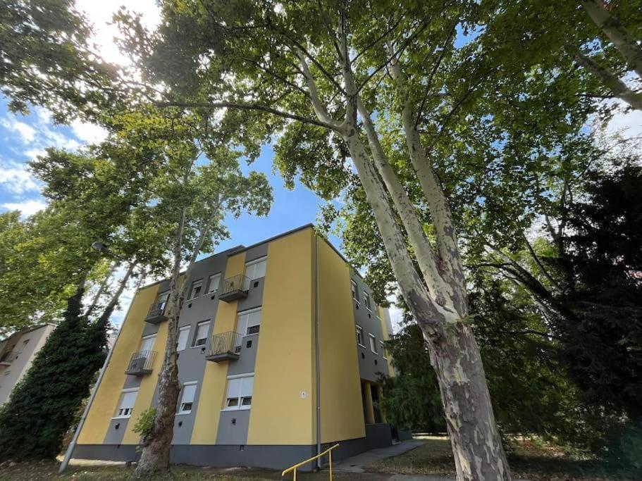 Appartement Lombkorona *